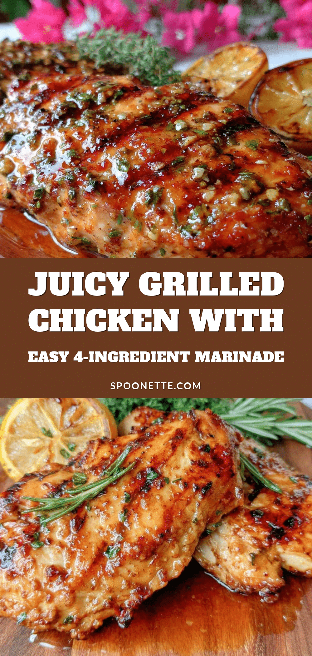 beginner grilling chicken recipe recipe