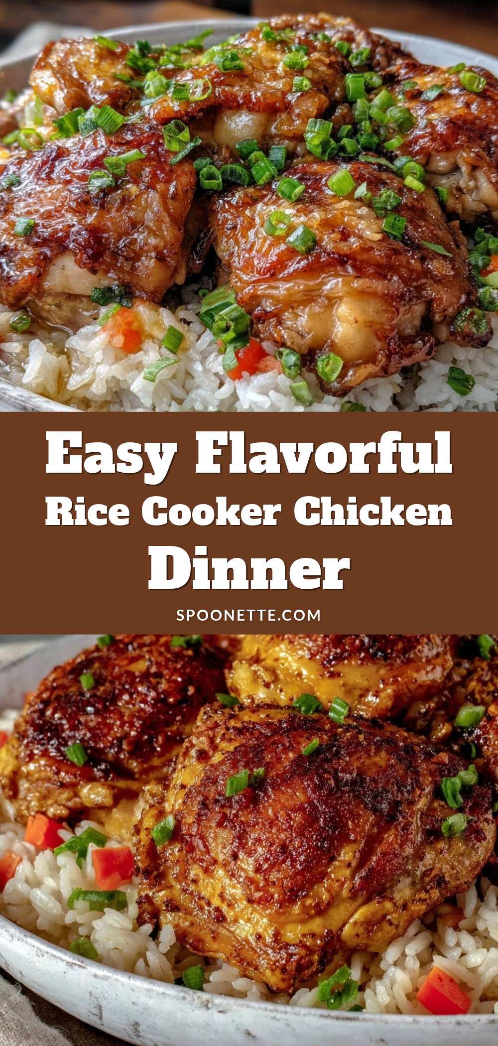 rice cooker chicken and rice recipe