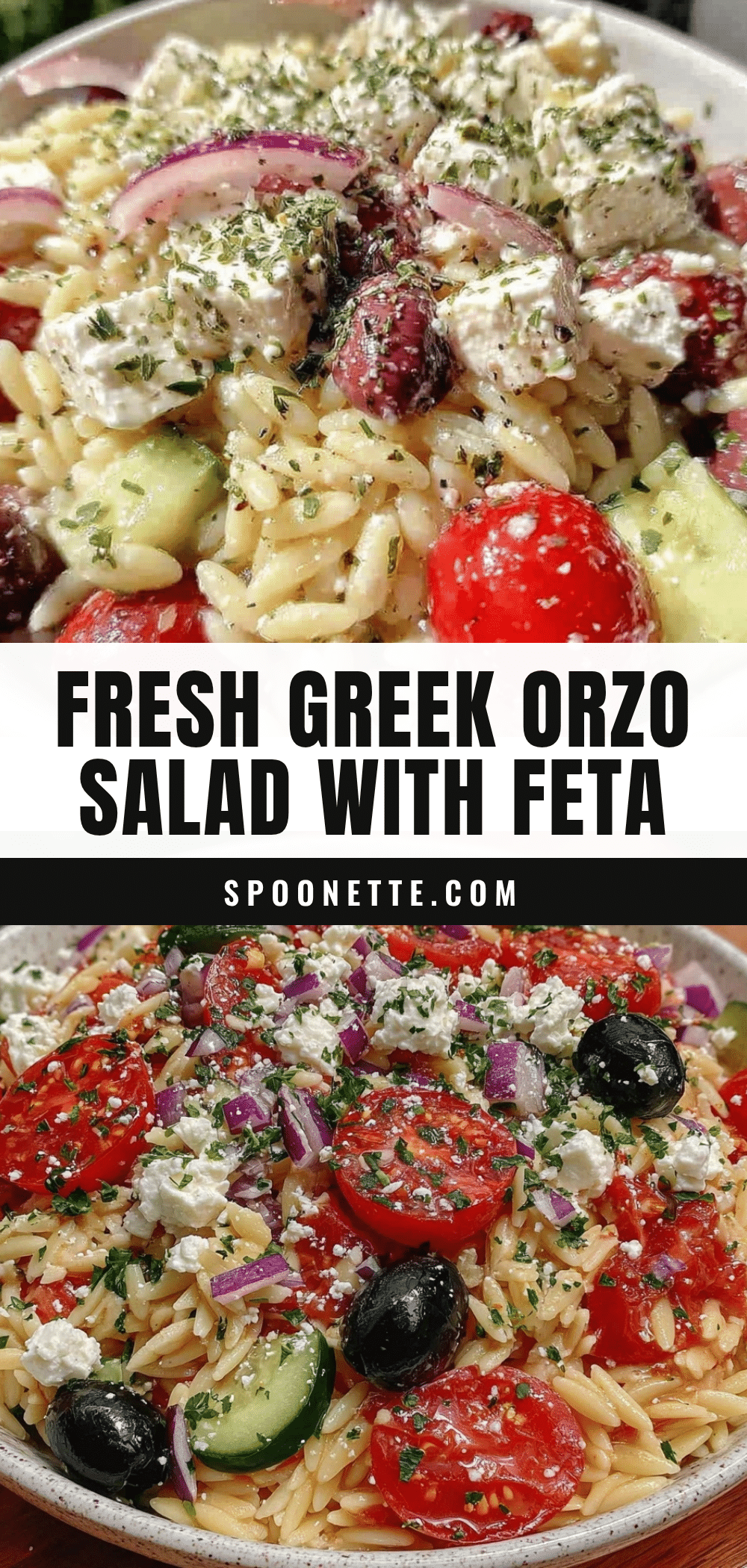 Fresh Greek Orzo Salad recipe