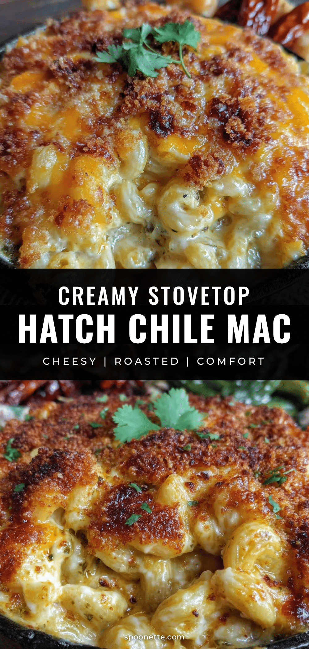 hatch green chile mac and cheese recipe