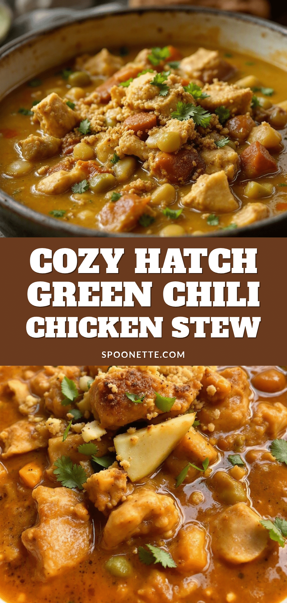 cozy hatch green chili chicken stew recipe