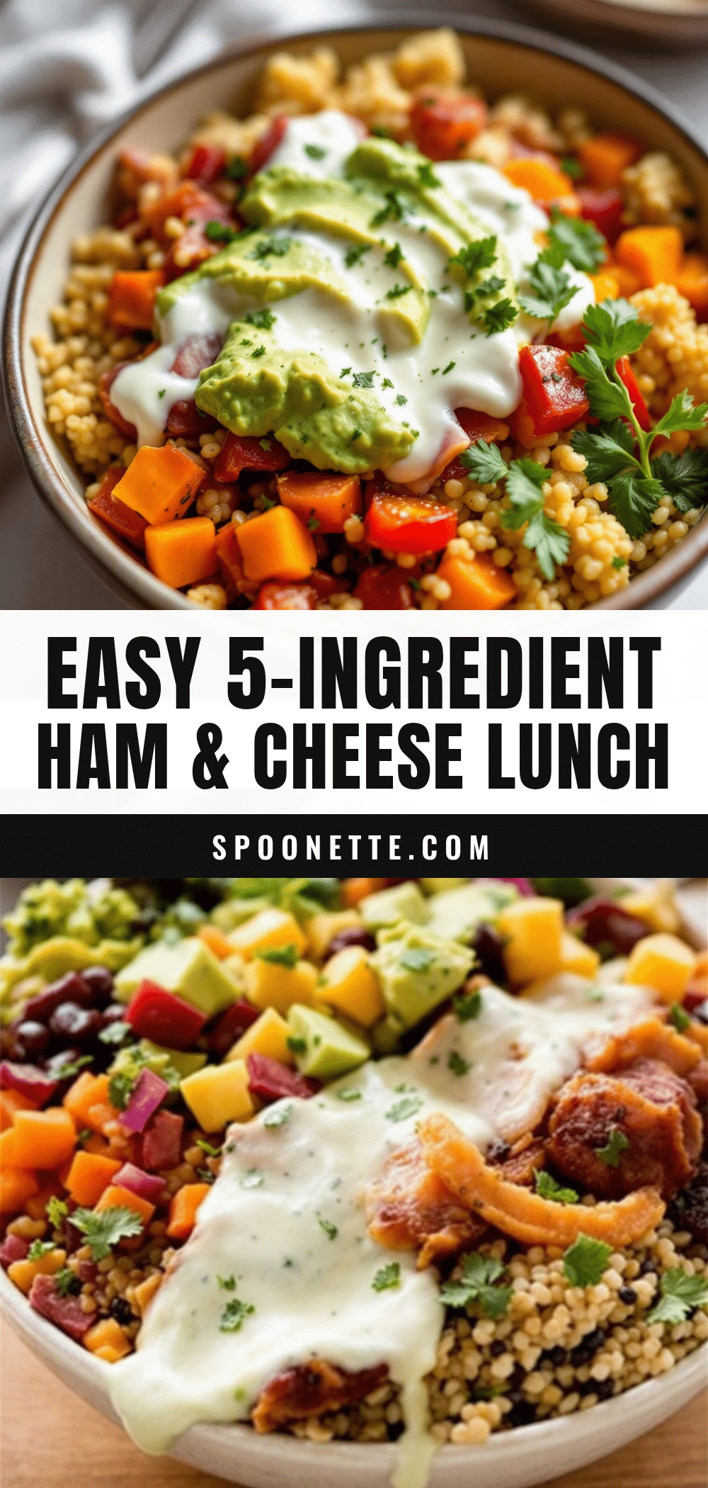 ham and cheese bento box lunch recipe